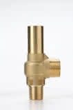 Sicherheitsventil D10/CS 24bar Eintritt 1/2" NPT Austritt AG G 3/4"